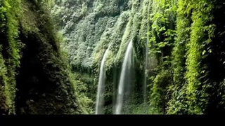 تصنیف علالای عشق