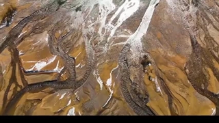 ساغر جام لاله