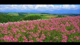 تصنیف صراحی