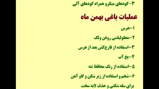 عملیات باغداری پسته بهمن ماه تقویم کوددهی پسته بهمن ماه