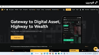 آموزش ریست کردن شماره تلفن و ایمیل در صرافی XT | قدم به قدم برای کاربران ایرانی