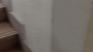 خدمات کفسابی در غرب تهران