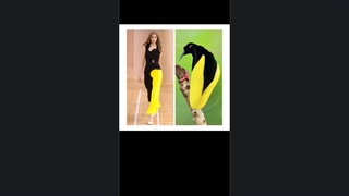 نمایش شکوه طبیعت در لباس ها