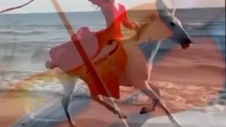 تکنوازی ویولن موسیقی سریال عشق سیاه