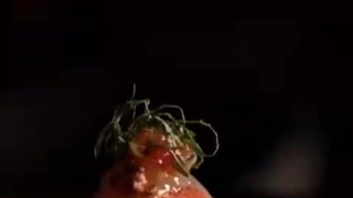 نمایندگی آلتون در تبریز