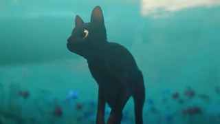 تریلر انیمیشن: Flow