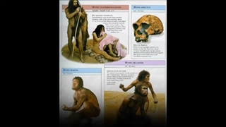 ۲.پیدایش انسان: افسانه آدم و حوا یا فسیل کشف شده لوسی