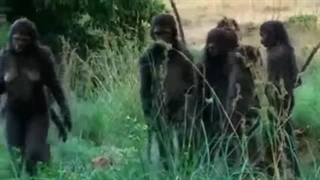 ۳.پیدایش اولین انسان: منشا اولین انسان کجا بوده؟(هوموارکتوس)