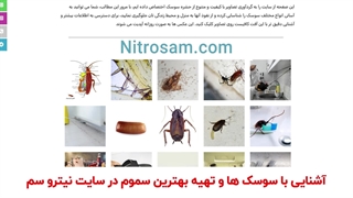 خرید سم سوسک - سم سوسک قوی