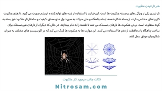 سم نابودی عنکبوت خانگی - بهترین سم عنکبوت کش