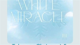 ترجمه آهنگ زیبای White Miracle از ونهوو (WonHo)