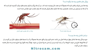 خرید سم پشه - سم پشه قوی