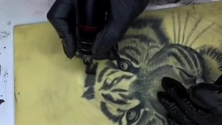 نحوه اجرا موی ببر و سوزن M1 (میلاد فراهانی )