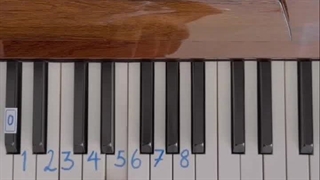 آهنگ سلطان قلبها