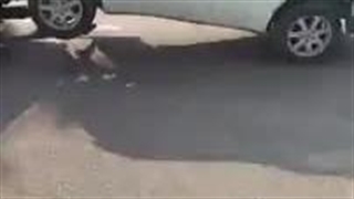 یدک کش اصفهان