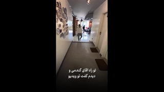 ویدیو سبک ولاگ