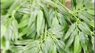 شاخه برگ مصنوعی بامبو ۶۰ سانتی‌متری با ارسال سریع