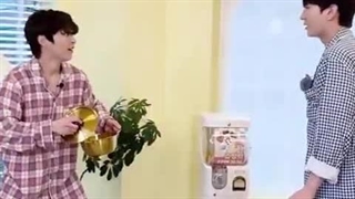 چالش کنچانا شیومین و لئو