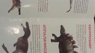 Большая книга ДИНОЗАВРЫ