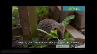 مستند دنیای باغبانها