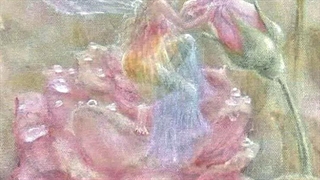 مینی کاورم از اهنگ ojos tristes سلنا گومز کپ