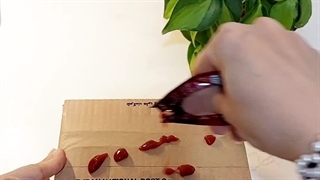 علت دلیل کوچک ماندن افزایش پهن شدن سایزبرگ جدید نورکافی کم رطوبت رشد اسپری جلبک دریایی هورمون بوستر پتوس گیاهان خانگی آپارتمانی