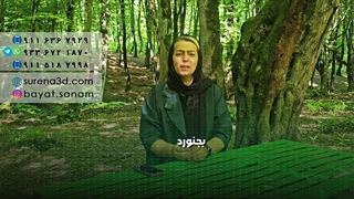 طراحی سایت در بجنورد