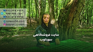 طراحی سایت در اردکان