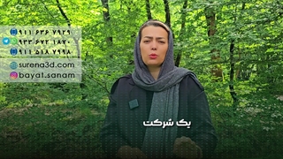 طراحی سایت در کمالشهر کرج