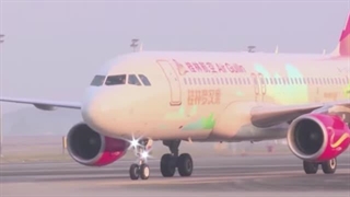 چین اولین خط تولید بزرگ تایرهای هوانوردی غیرنظامی را راه اندازی کرد - اخبار DRM - AI11