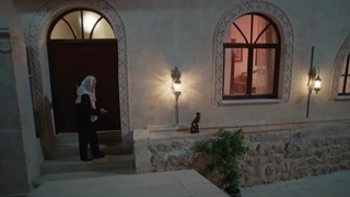 سریال ترکی شهر دور قسمت 14 دوبله فارسی