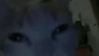 د اخه مشتی:خنده: