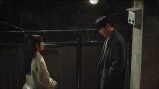 سریال خانم شب روز قسمت 14 با دوبله فارسی